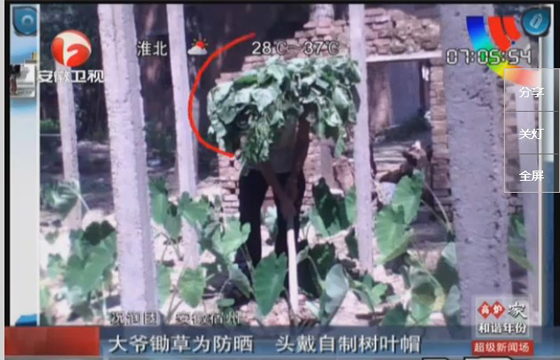 農(nóng)民防曬有絕招，就地取材，頭戴樹葉自制帽子