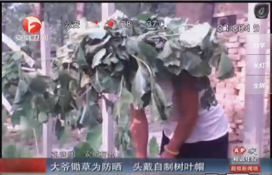 農(nóng)民防曬有絕招，就地取材，頭戴樹葉自制帽子